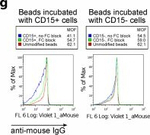 Goat anti-Mouse IgG (H+L) Cross-Adsorbed Secondary Antibody, Pacific Blue™