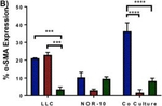 Mouse IgG (H+L) Cross-Adsorbed Secondary Antibody in Flow Cytometry (Flow)