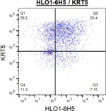 Rabbit IgG (H+L) Cross-Adsorbed Secondary Antibody in Flow Cytometry (Flow)