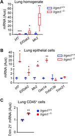 CD45 Antibody in Flow Cytometry (Flow)