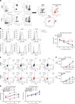 LAMP5 (BAD-LAMP) Antibody in Flow Cytometry (Flow)
