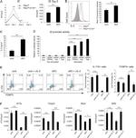 FOXP3 Antibody in Flow Cytometry (Flow)