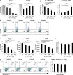 FOXP3 Antibody in Flow Cytometry (Flow)