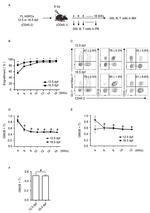 CD45.2 Antibody in Flow Cytometry (Flow)