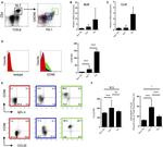 TCR beta Antibody in Flow Cytometry (Flow)