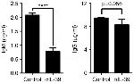 Mouse IgM Antibody in ELISA (ELISA)