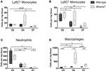 MERTK Antibody in Flow Cytometry (Flow)