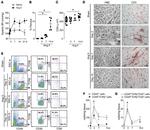 CD4 Antibody in Flow Cytometry (Flow)