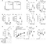 CD4 Antibody in Flow Cytometry (Flow)