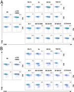CD69 Antibody in Flow Cytometry (Flow)