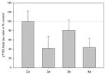 Phospho-Tau (Thr231) Antibody in Western Blot (WB)