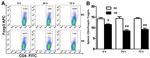 FOXP3 Antibody in Flow Cytometry (Flow)