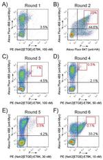 Myc Tag Antibody in Flow Cytometry (Flow)