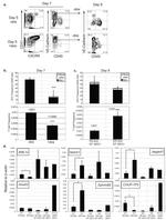 CD31 (PECAM-1) Antibody in Flow Cytometry (Flow)