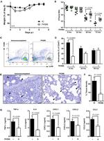 CD45 Antibody in Flow Cytometry (Flow)