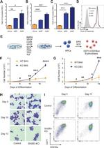 CD235a (Glycophorin A) Antibody in Flow Cytometry (Flow)