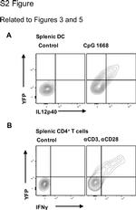 IFN gamma Antibody in Flow Cytometry (Flow)