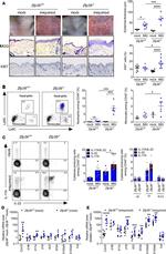 CD45 Antibody in Flow Cytometry (Flow)