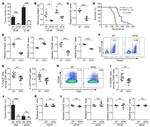 FOXP3 Antibody in Flow Cytometry (Flow)