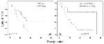 Phospho-ErbB2 (HER-2) (Tyr1248) Antibody in Immunohistochemistry (IHC)