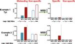 Tyrosinase Antibody in ELISA (ELISA)