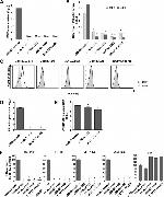Hepatitis C Virus Core Antigen Antibody in Flow Cytometry (Flow)