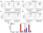 CD80 (B7-1) Antibody in Flow Cytometry (Flow)