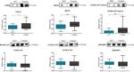 RAB3GAP1 Antibody in Western Blot (WB)