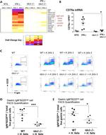 Mouse IgM Antibody in Flow Cytometry (Flow)