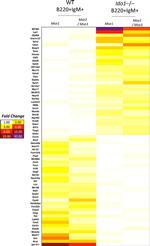 Mouse IgM Antibody in Flow Cytometry (Flow)