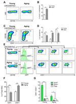 CD41a Antibody in Flow Cytometry (Flow)