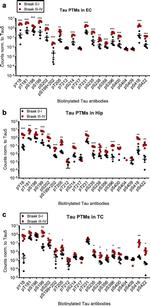 Phospho-Tau (Ser396) Antibody in ELISA (ELISA)