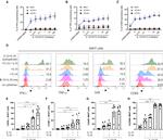 CD69 Antibody in Flow Cytometry (Flow)