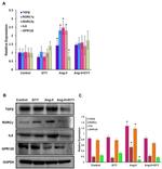 GPR120 Antibody in Western Blot, Immunocytochemistry (WB, ICC/IF)
