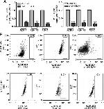 CD152 (CTLA-4) Monoclonal Antibody (9H10), Functional Grade, eBioscience™