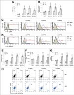 ERp57 Antibody in Flow Cytometry (Flow)