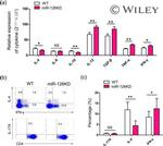 CD3e Antibody in T-Cell Activation (TCA)