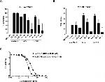 6x-His Tag Antibody in ELISA (ELISA)
