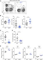 Mouse IgM Antibody in Flow Cytometry (Flow)