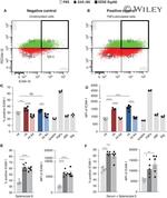 CD31 Antibody in Flow Cytometry (Flow)