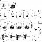 CD4 Antibody in Flow Cytometry (Flow)