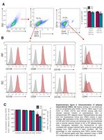 CD105 (Endoglin) Antibody in Flow Cytometry (Flow)