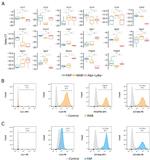 CD140b (PDGFRB) Antibody in Flow Cytometry (Flow)