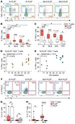 IL-17A Antibody in Flow Cytometry (Flow)