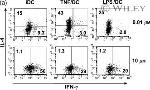IL-4 Monoclonal Antibody (BVD4-1D11)