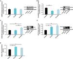 FABP2 Antibody in Western Blot (WB)