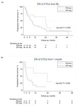 CD45 Antibody in Immunohistochemistry (IHC)