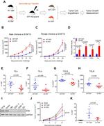 Estrogen Receptor Beta Monoclonal Antibody (PPZ0506)