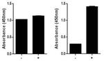Multispecies CREB (Total/Phospho) InstantOne™ ELISA Kit