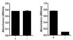 Multispecies GSK3 beta (Total/Phospho) InstantOne™ ELISA Kit